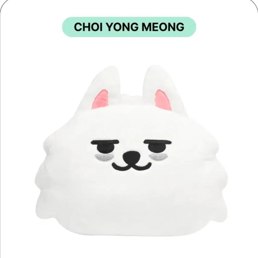 [BUNJANG] TXT Beomgyu Soobin Face Cushion / 투바투 뿔바투 최용멍 수빈 페이스 쿠션