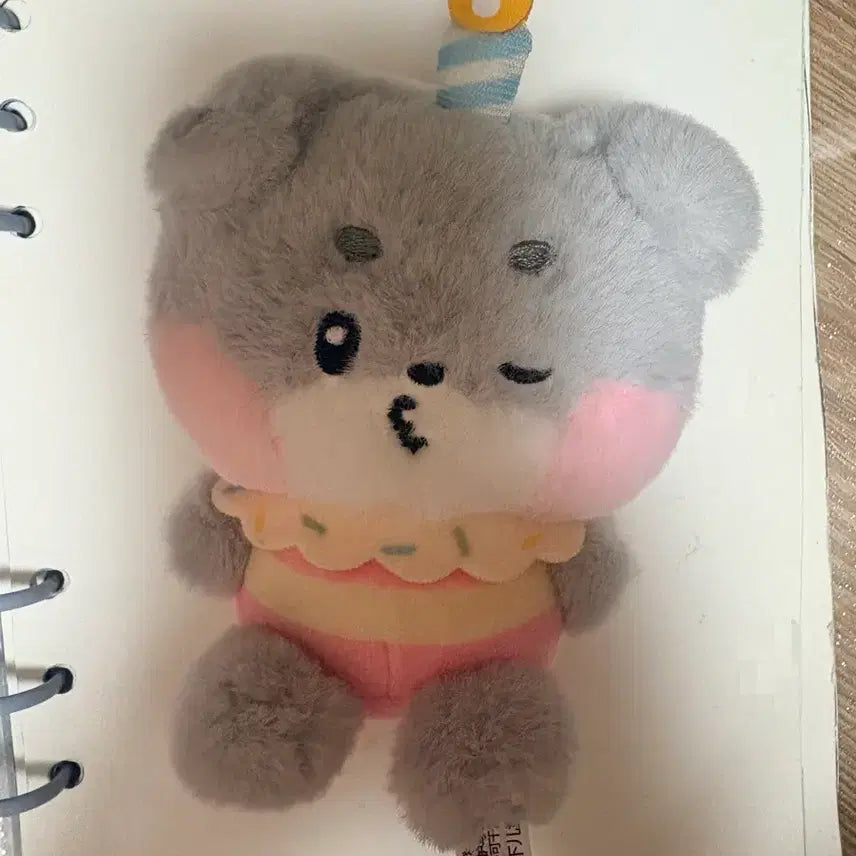 [BUNJANG] Goonini Photocard / 거니니 팔아요