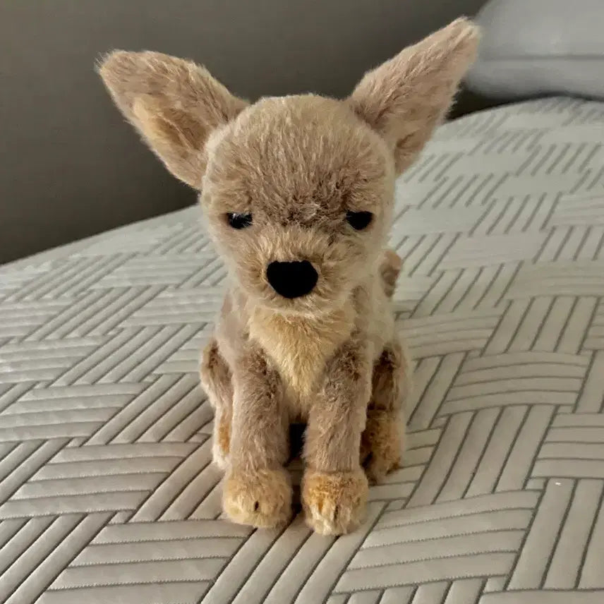 [BUNJANG] Jellycat Yappy Chihuahua Plush / jellycat 얍스비 치와와 젤리캣 정품