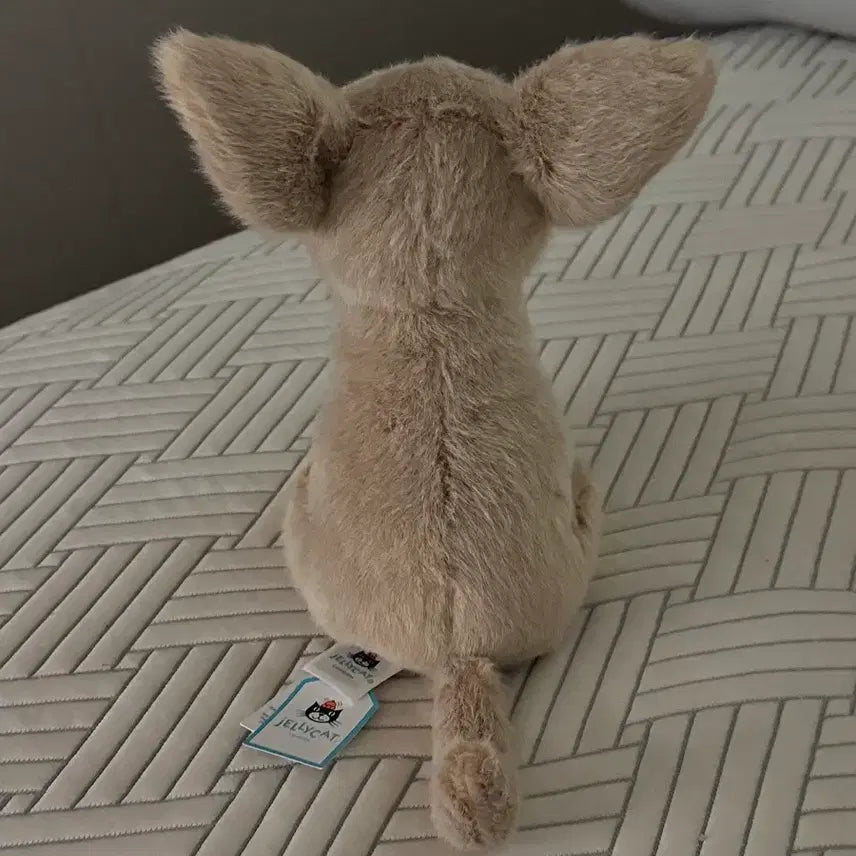 [BUNJANG] Jellycat Yappy Chihuahua Plush / jellycat 얍스비 치와와 젤리캣 정품