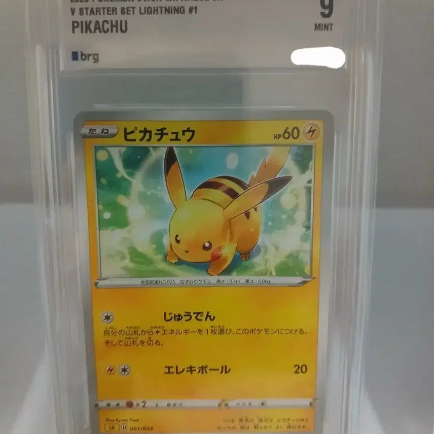 [BUNJANG] Pokemon Card Pikachu V Starter Set Lightning / 포켓몬카드 피카츄 V 스타터세트 라이트닝 brg9