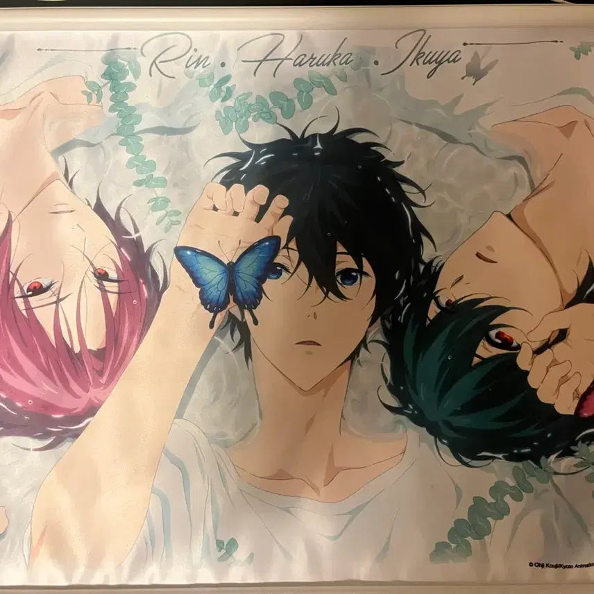 [BUNJANG] Free! Rin Haruka Ikuya Tapestry / 프리 free! 린 하루카 이쿠야 태피스트리