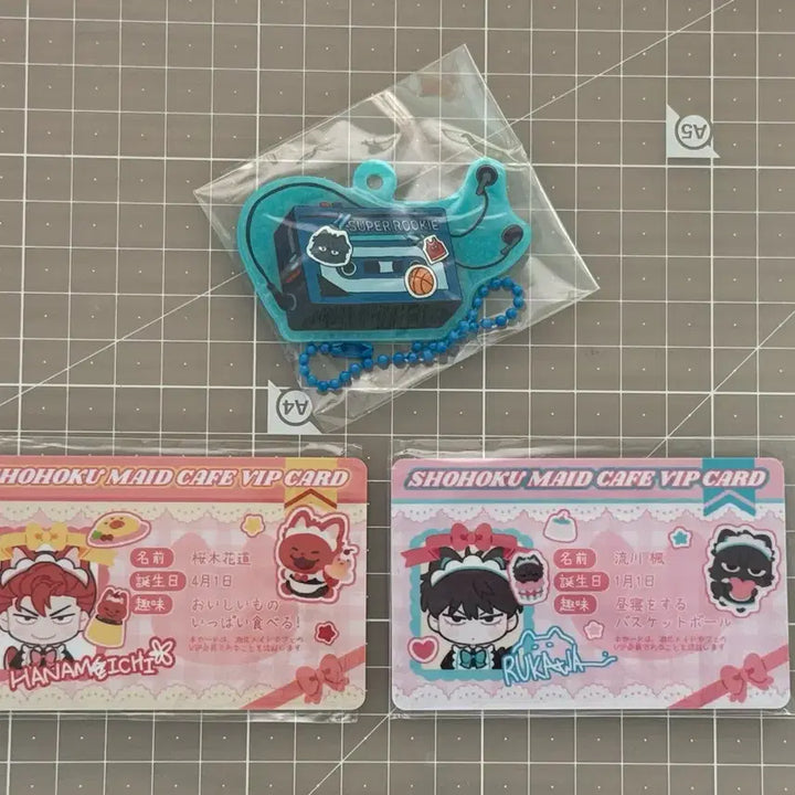 [BUNJANG] Slam Dunk Baekho Taewoong Merchandise Set / 슬램덩크 비공굿 백호 태웅 굿즈 세트