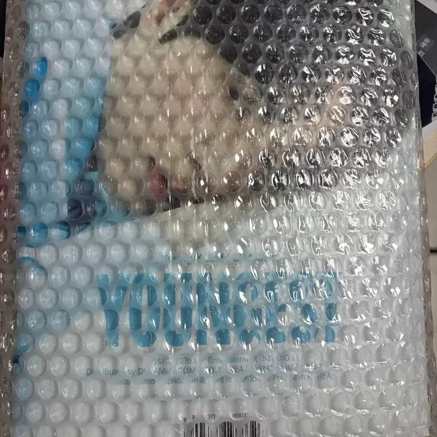 [BUNJANG] Young K Youngest Album Photocard Bundle Set / 영케이 영기스트 앨범 팝니다