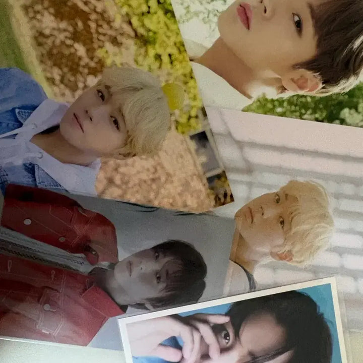 [BUNJANG] Park Ji Hoon Postcard Set / 박지훈 엽서 세트