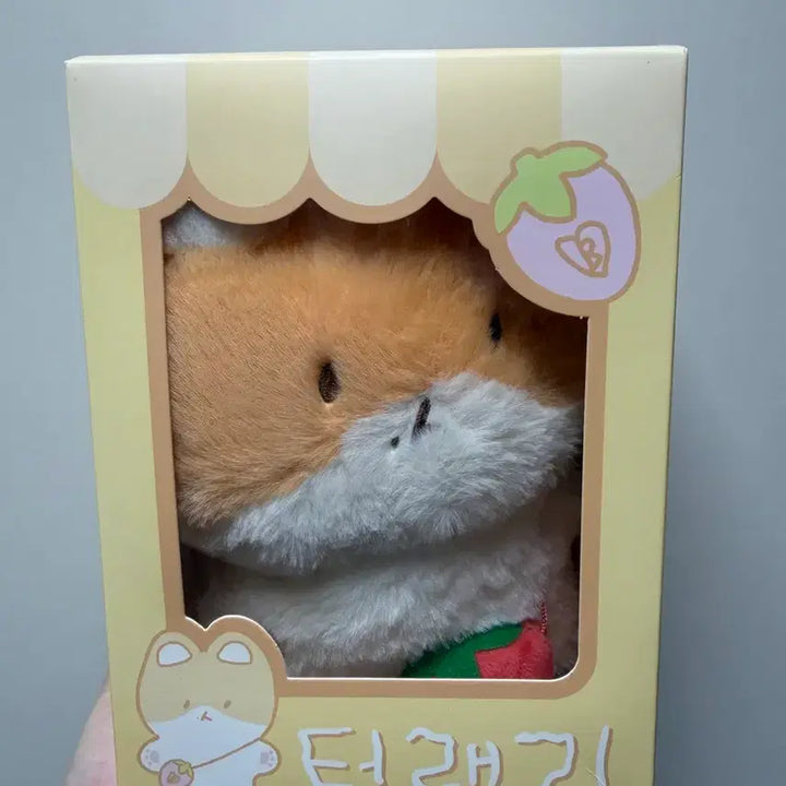 [BUNJANG] Baekhyun Plush / 백현 터래기 양도