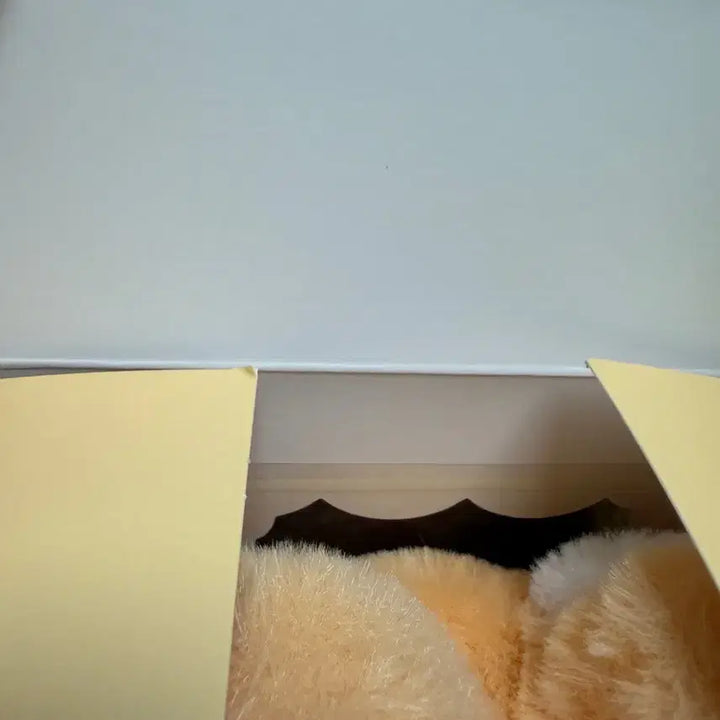 [BUNJANG] Baekhyun Plush / 백현 터래기 양도