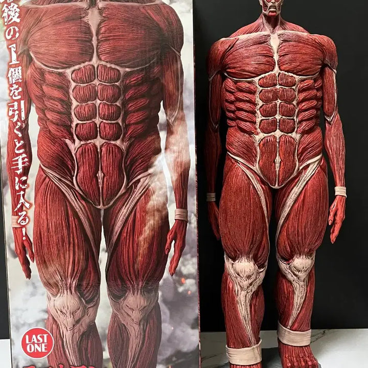 [BUNJANG] Attack on Titan Last One Prize Extra Large Titan Figure / 진격의거인 제일복권 라스트원 초대형거인 피규어