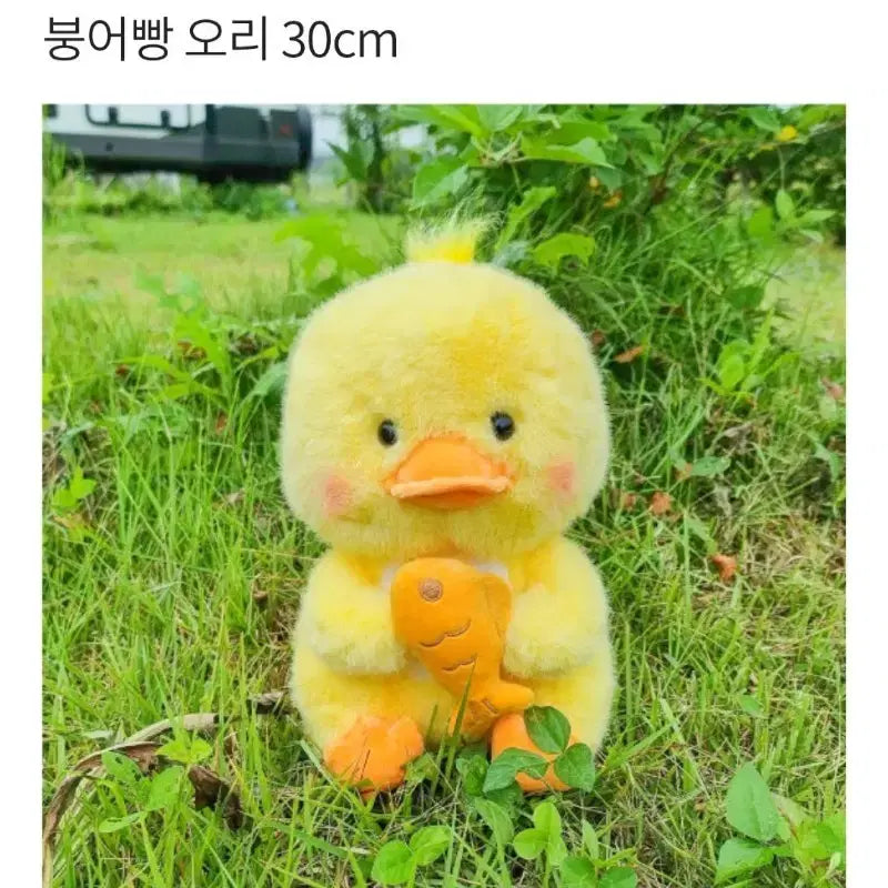 [BUNJANG] Jjang Arcade Authentic Bungeoppang Duck Plush 30cm + TOTOZ Duck Keyring Plush / 짱오락실 정품 붕어빵 오리 인형 30cm+TOTOZ 오리 키링인형(새상품)