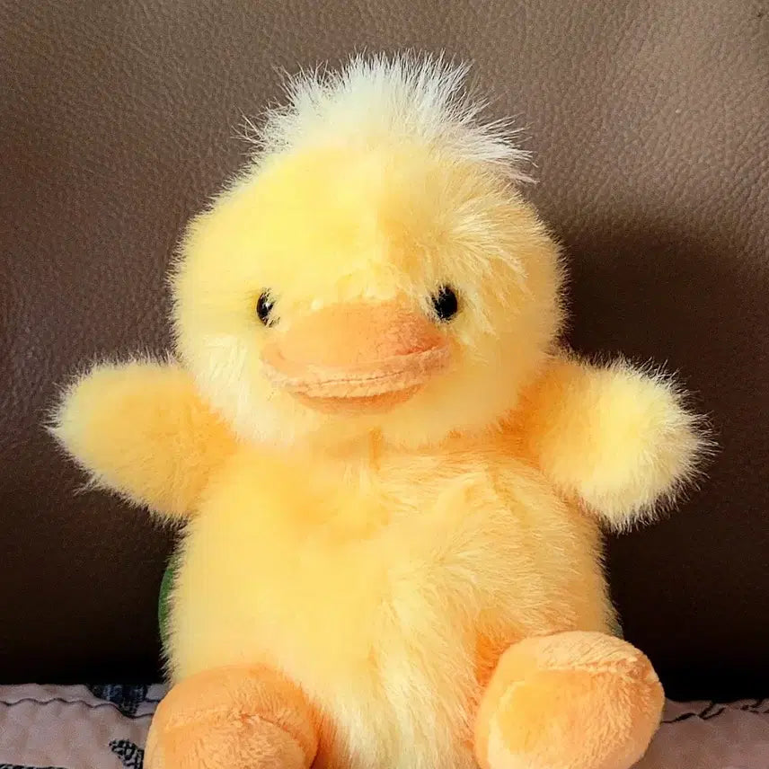 [BUNJANG] Jjang Arcade Authentic Bungeoppang Duck Plush 30cm + TOTOZ Duck Keyring Plush / 짱오락실 정품 붕어빵 오리 인형 30cm+TOTOZ 오리 키링인형(새상품)