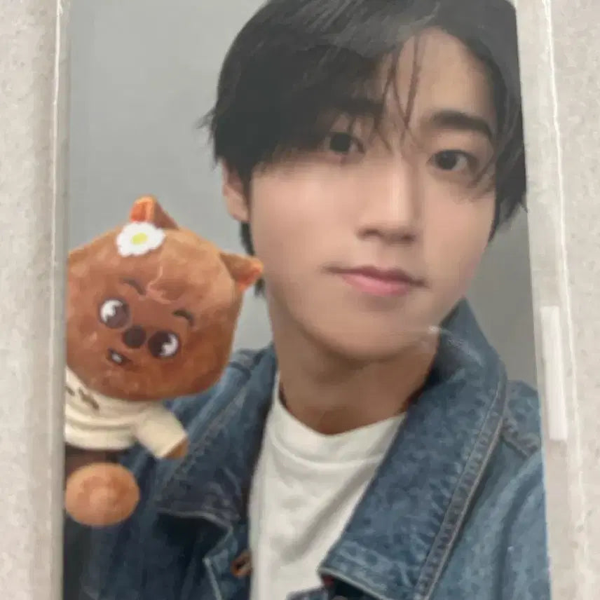 [BUNJANG] Stray Kids SKZOO Zootopia Photocard / 스키즈 주토피아 SKZOO POP-UP STORE 4만원 구매포카