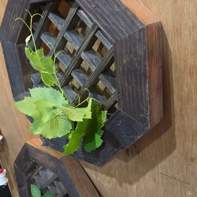 [BUNJANG] Pair of Octagonal Lattice Doors / 전통 문짝  / 팔각 격자 문짝 2점