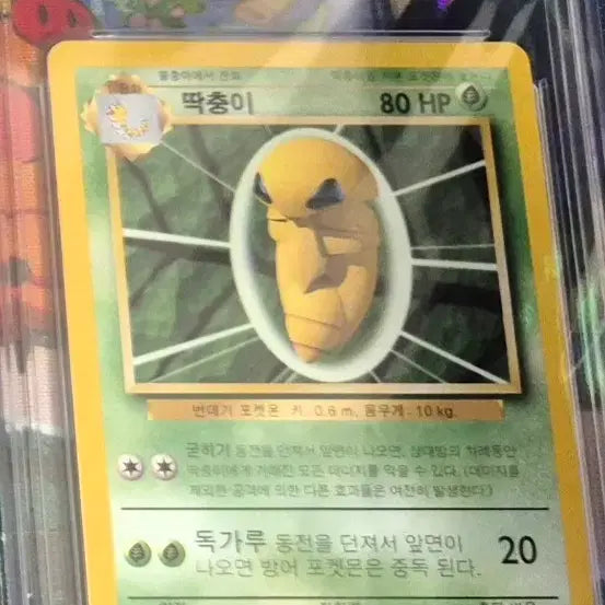 [BUNJANG] Limited Edition BRG10 POP2 "Ttakchung-i" Photocard / [ 초판 BRG10 POP2 ] 딱충이