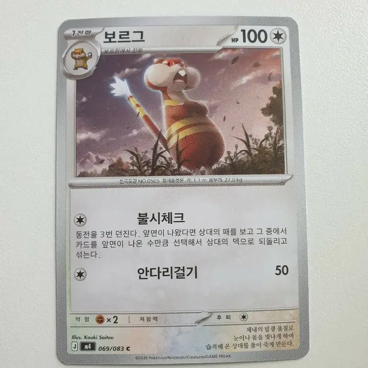 [BUNJANG] Borg Pokemon Card / 보르그 포켓몬카드
