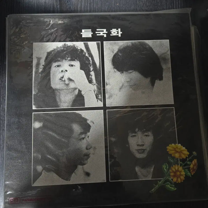 [BUNJANG] Deulgukhwa First Press Vinyl LP - Sealed / 들국화 초판 / 비닐 밀봉새제품 / 희귀 레이블 / 가요 LP