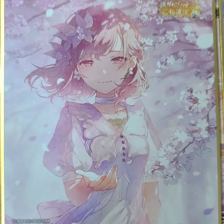 [BUNJANG] Project Sekai Nijigasaki Ena Mafuyu Shikishi Bundle Set / 프세카 니고 여화 에나 마후유 색지 일괄