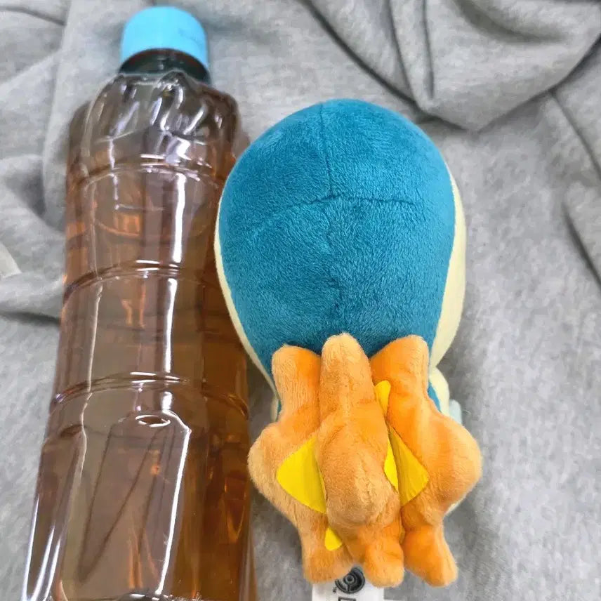 [BUNJANG] Pokemon Cyndaquil Plush Doll 2015 Dolls "Super Secret Base" Theme / 고전 포켓몬 브케인 인형 비밀기지 슈퍼비밀기지 누이 2015 돌즈