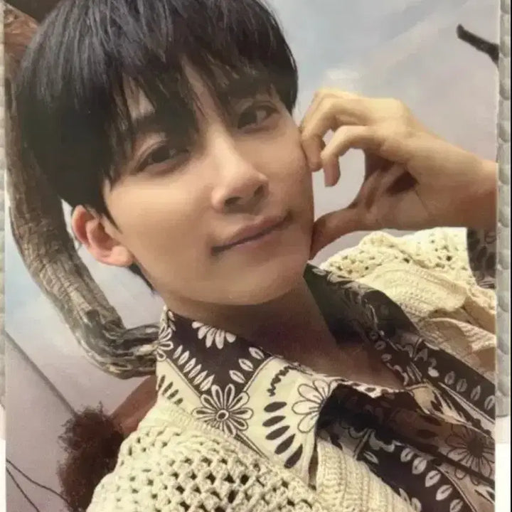[BUNJANG] SEVENTEEN Jeonghan Photocard / 세븐틴 정한 포카