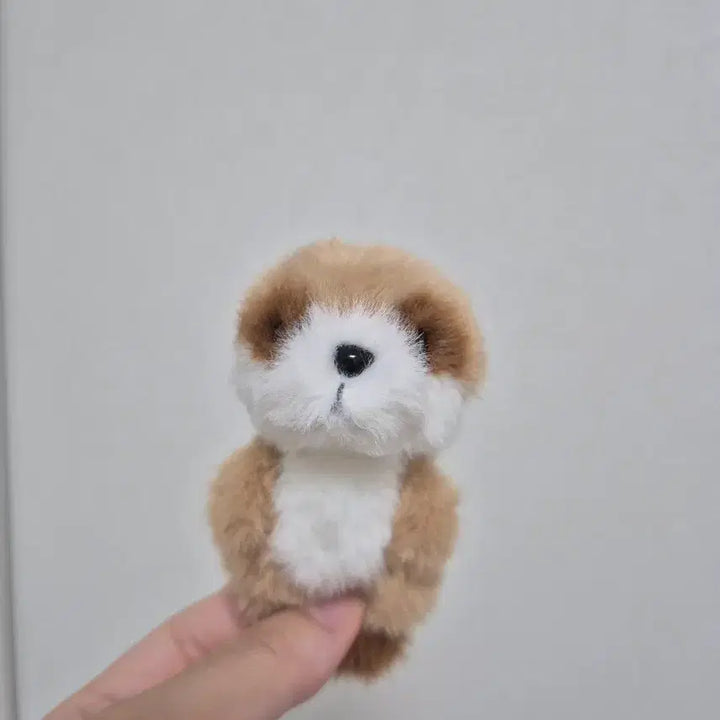 [BUNJANG] Meercat Vintage Doll Character / 미어캣 빈티지 인형 캐릭터