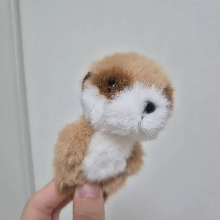 [BUNJANG] Meercat Vintage Doll Character / 미어캣 빈티지 인형 캐릭터