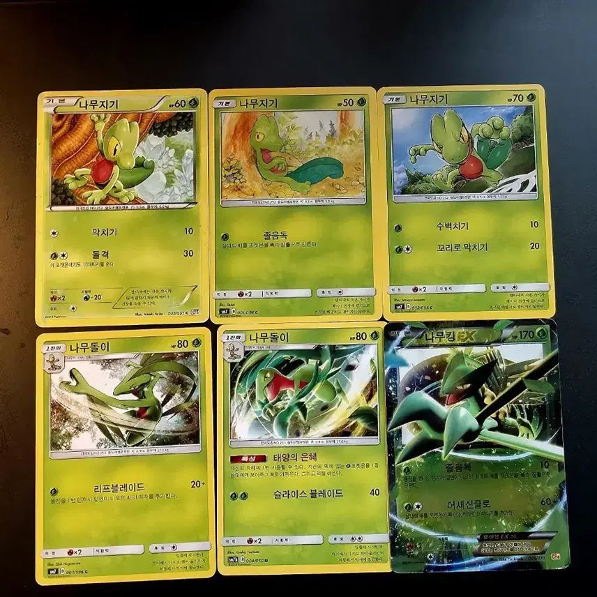[BUNJANG] Pokemon Card BW, Sun &amp; Moon Treecko, Grovyle, Sceptile EX Evolution Set (6 Types) / 포켓몬카드 BW,썬문 나무지기 나무돌이 나무킹 EX 진화 세트