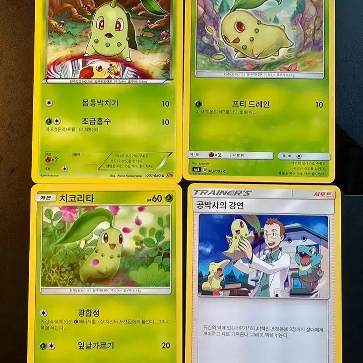 [BUNJANG] Pokemon TCG Chikorita 4-Card Set / 포켓몬 카드 XY,썬문 귀요미 치코리타 4종 세트 판매