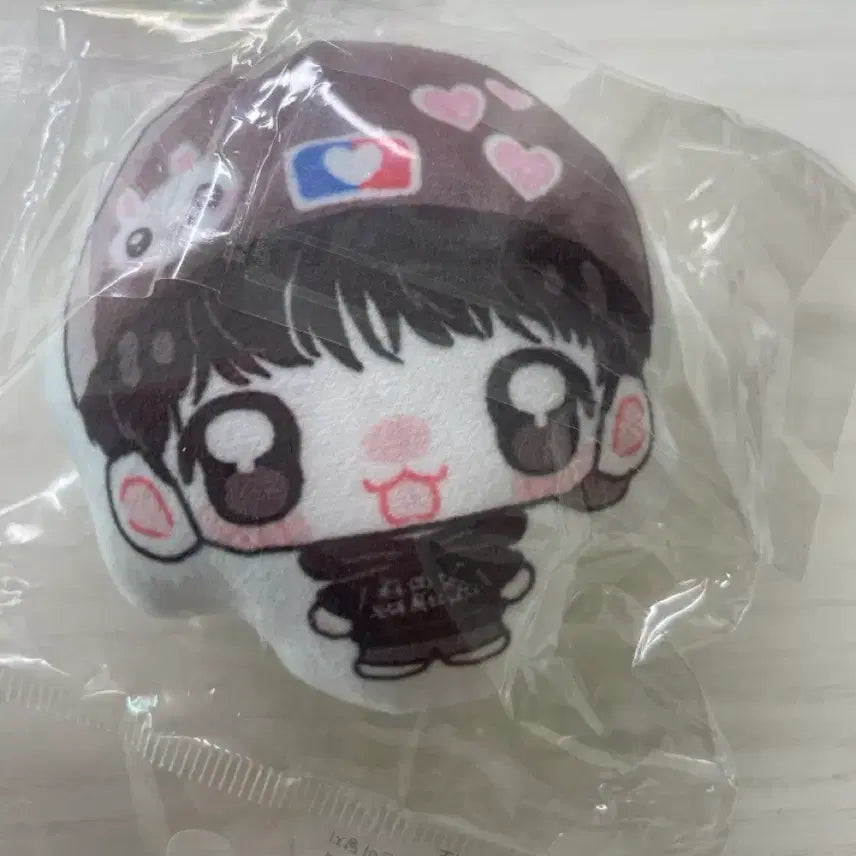 [BUNJANG] Park Ji Hoon Unofficial Ball Cap Doll / 박지훈 비공굿 왕사남 볼캡 인형 양도
