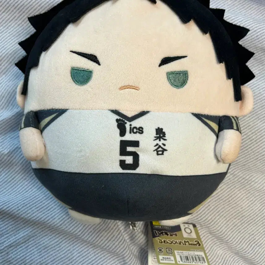 [BUNJANG] Haikyuu!! Akaashi Keiji Uniform Plush Doll (M Size) / 아카아시 케이지 유니폼 후와코로링 m 사이즈 인형 하이큐