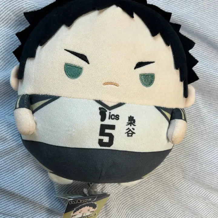 [BUNJANG] Haikyuu!! Akaashi Keiji Uniform Plush Doll (M Size) / 아카아시 케이지 유니폼 후와코로링 m 사이즈 인형 하이큐