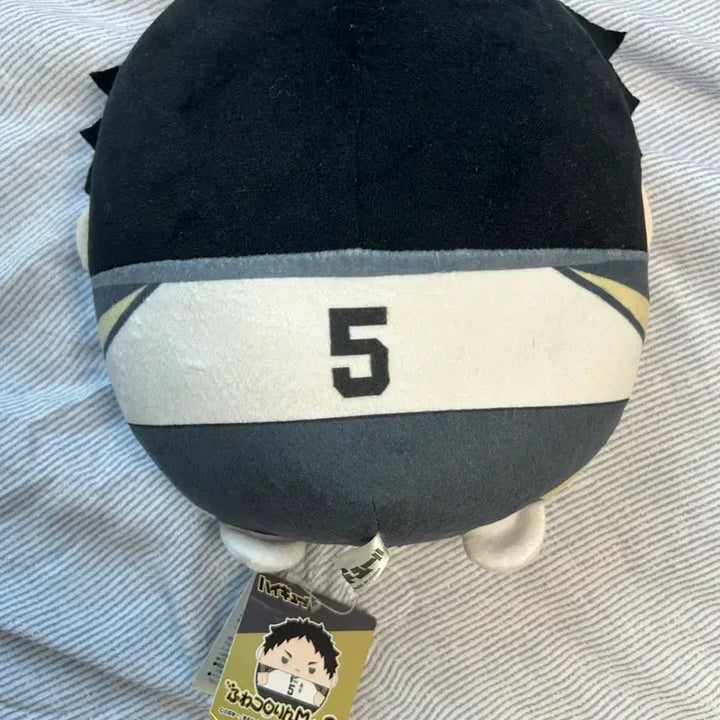 [BUNJANG] Haikyuu!! Akaashi Keiji Uniform Plush Doll (M Size) / 아카아시 케이지 유니폼 후와코로링 m 사이즈 인형 하이큐