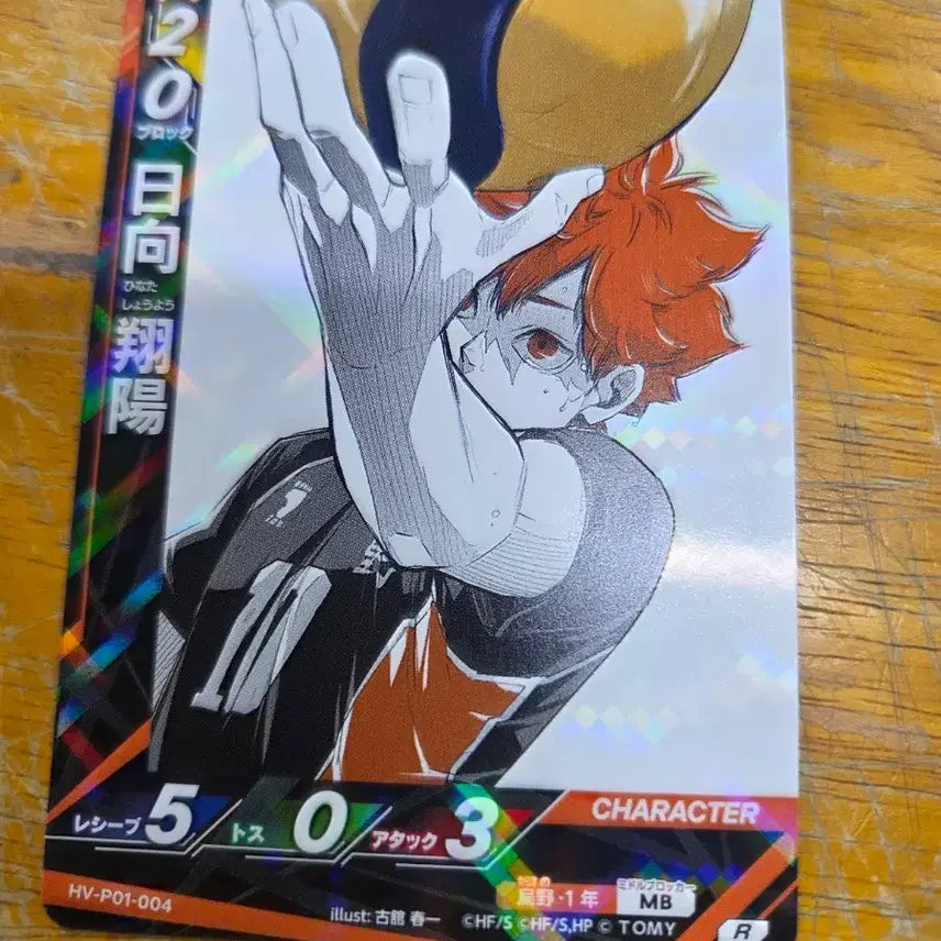 [BUNJANG] Haikyuu!! Shoyo Hinata &