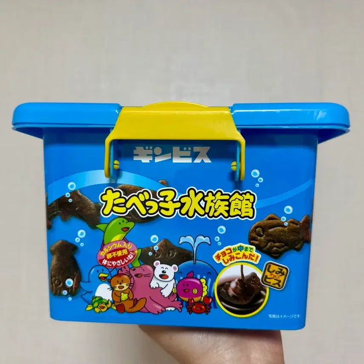 [BUNJANG] Tabeko Dobutsu Plastic Storage Container Box / 일본 타베코 도부츠 컨테이너 수납박스