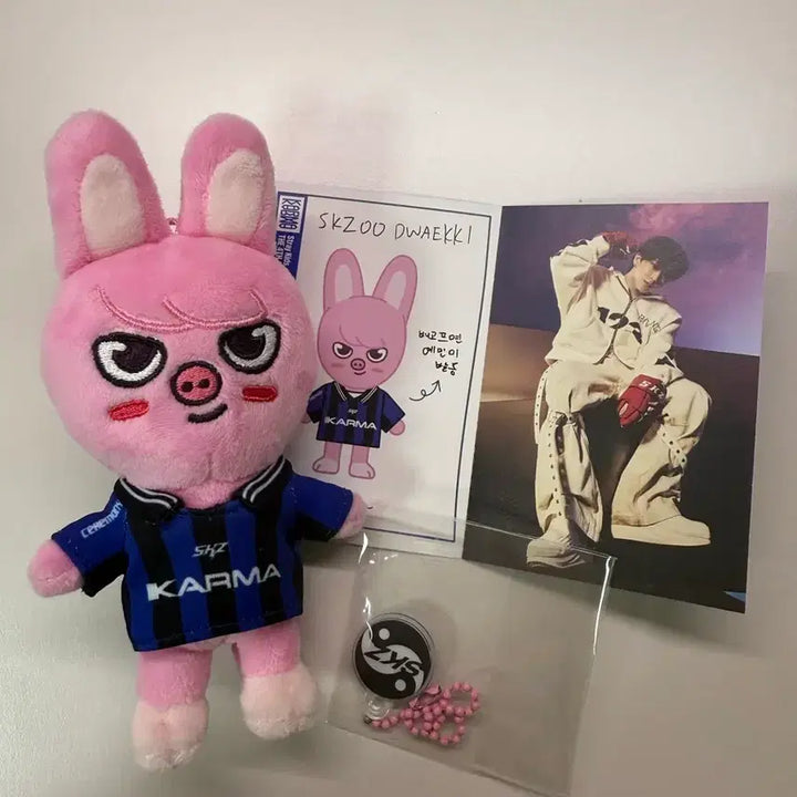 [BUNJANG] Stray Kids Changbin Karma Dwaekki Doll / 원가 이하)스트레이키즈 스키즈 스키주 카르마 돼끼 창빈 인형 양도