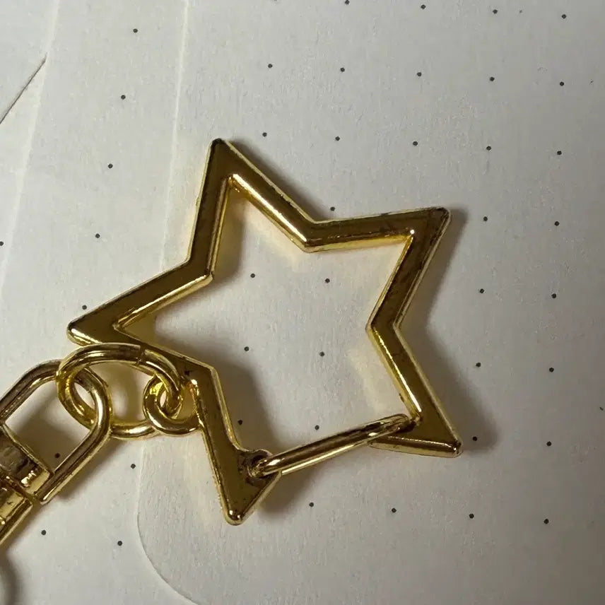 [BUNJANG] HSR (Honkai: Star Rail) Luocha / Bucheokin Collaboration Keychain + 1st Anniversary Photocard / 스타레일 붕스 나찰 부어치킨 키링+1주년 포카