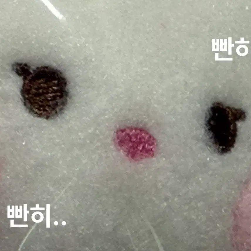 [BUNJANG] NCT WISH Pangpangnini Plush Keyring / 엔시티위시 팡팡니니 인형 플러시 키링 판매 양도