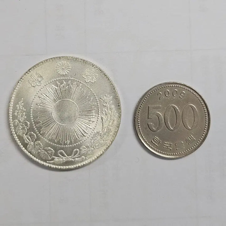 [BUNJANG] Japanese Vintage Dragon Motif Large Coin / [대형동전] 일본 고전 용무늬 대형 동전 mw28