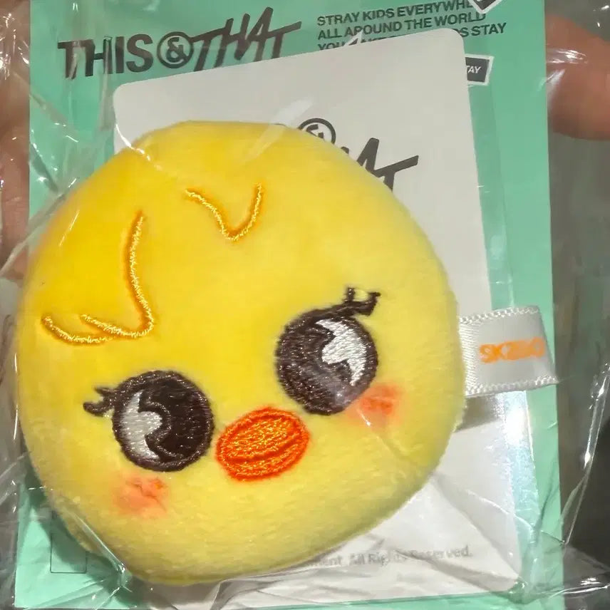 [BUNJANG] Stray Kids Disc and That Magnetic Pop-up "Bbok-ari" (Gashapon Toy) / 스키즈 스트레이키즈 디스앤댓 팝업 마그네틱 뽁아리 판매합니다
