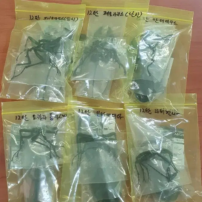 [BUNJANG] Bandai Insect Encyclopedia Stag Beetle Vol. 12 Complete Set / 반다이 생물대도감 사슴벌레 12탄
