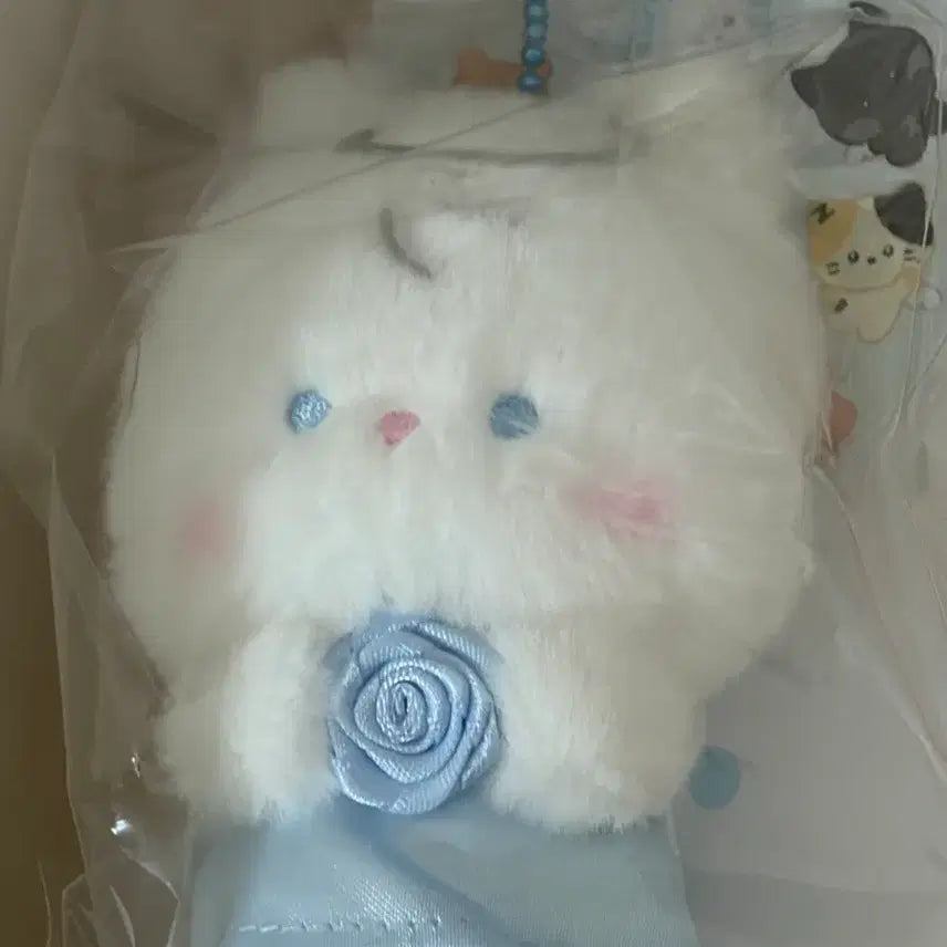 [BUNJANG] ENHYPEN Sunghoon Angel Beanie / 천사 엔젤 비니니