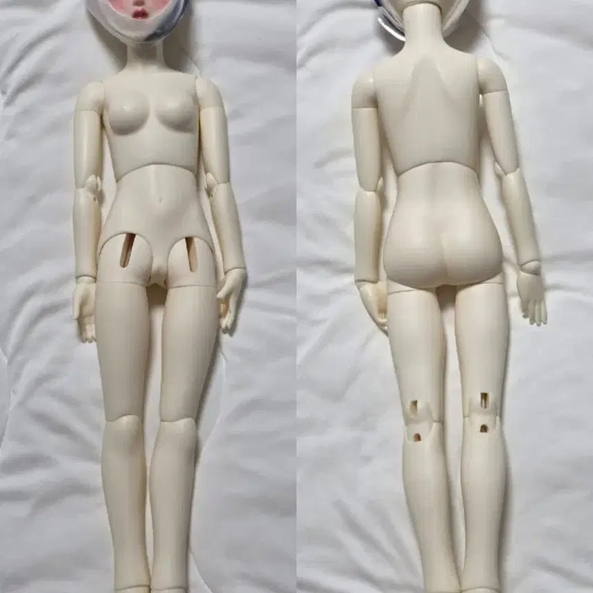 [BUNJANG] Blue Fairy Valentine May MSD Body - Snow White Skin / 블루페어리 msd 발렌타인 메이 미백 본체
