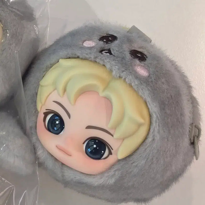[BUNJANG] RIIZE Pop Mart Face Keyring Fluffy Mini Pouch / 라이즈팝마트(미니파우치)얼굴키링 용돌