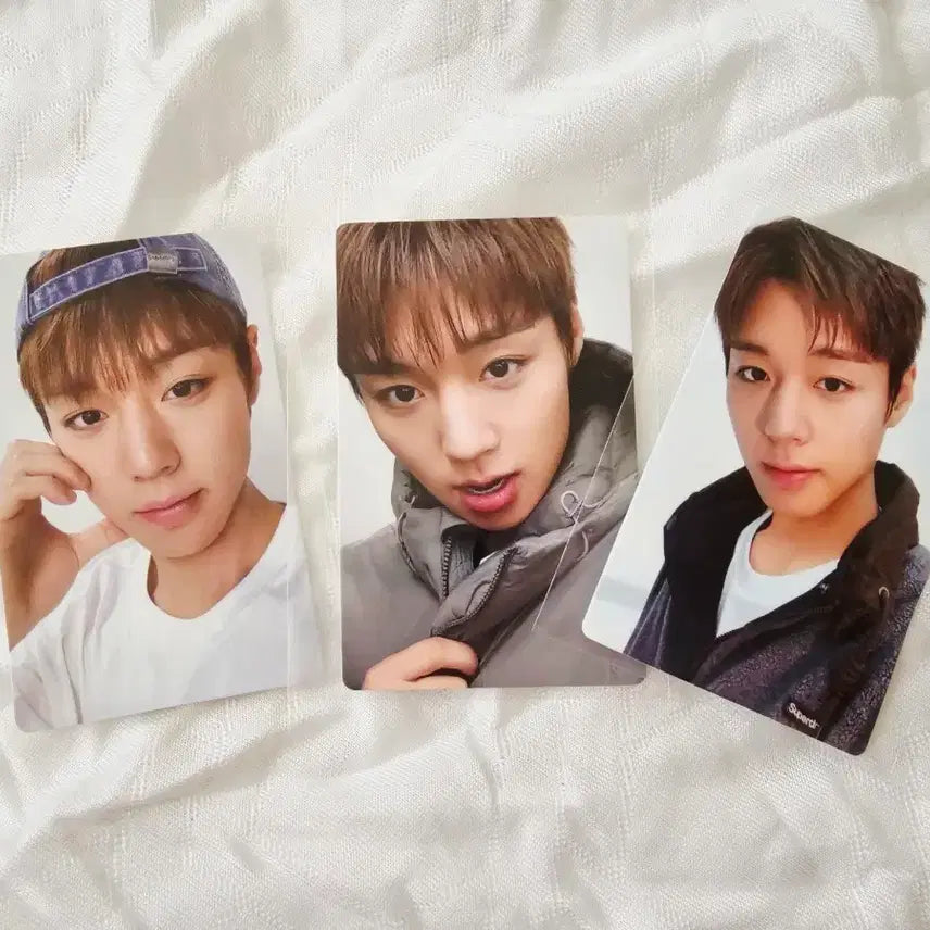 [BUNJANG] Park Jihoon Superdry Photocard 3-Set Bundle / [3종일괄] 슈퍼드라이 박지훈 포토카드 3종세트