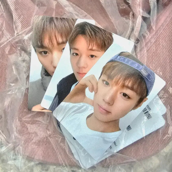 [BUNJANG] Park Jihoon Superdry Photocard 3-Set Bundle / [3종일괄] 슈퍼드라이 박지훈 포토카드 3종세트