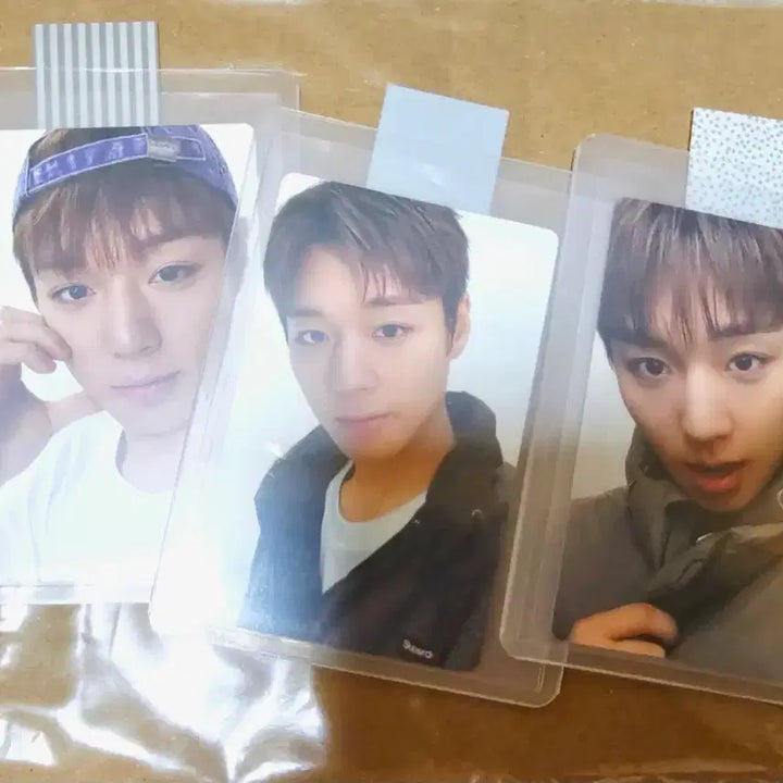[BUNJANG] Park Jihoon Superdry Photocard 3-Set Bundle / [3종세트] 박지훈 포토카드 슈퍼드라이 / 미사용 포카 슬리브 개별포장O