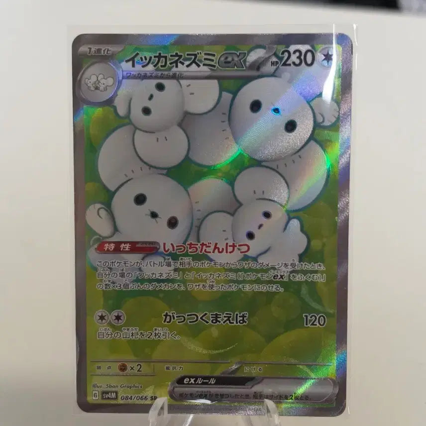 [BUNJANG] Pokemon Card "Family&