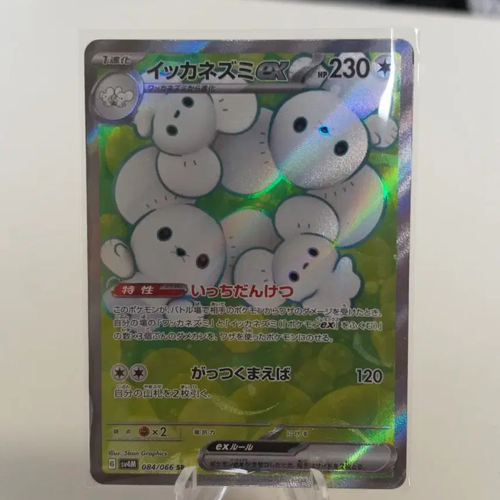 [BUNJANG] Pokemon Card "Family&