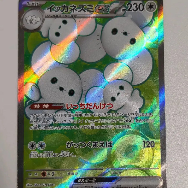 [BUNJANG] Pokemon Card "Family&