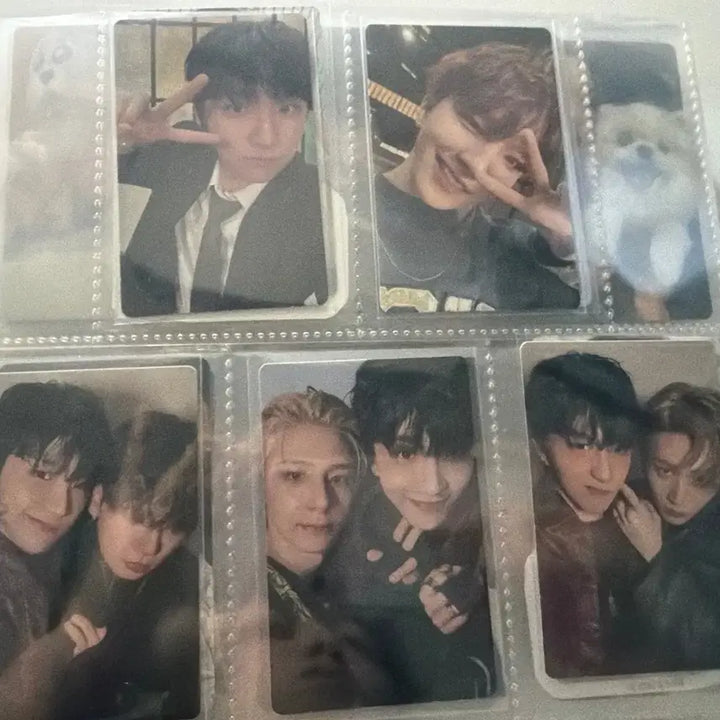[BUNJANG] BOYNEXTDOOR Yunhak Photocard / 보넥도 운학 포카 양도 판매