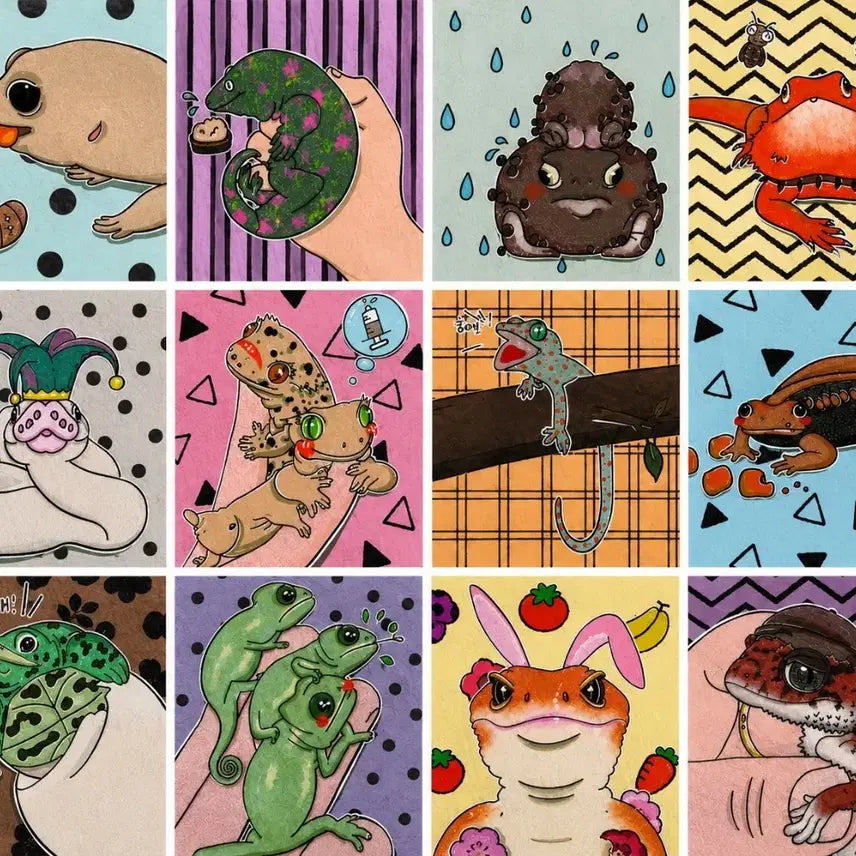 [BUNJANG] Dorothy Handmade Reptile Illustration Post with Frame / (굿즈) 12종 파충류 포스터