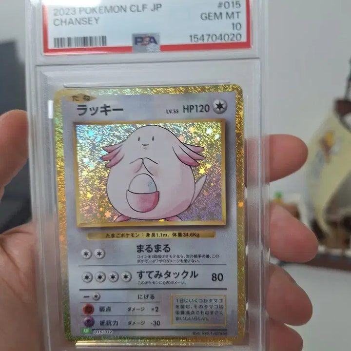 [BUNJANG] Pokemon Card PSA 10 CLF JP Lucky Draw Graded Card / 포켓몬카드 PSA10 2023  CLF JP 럭키